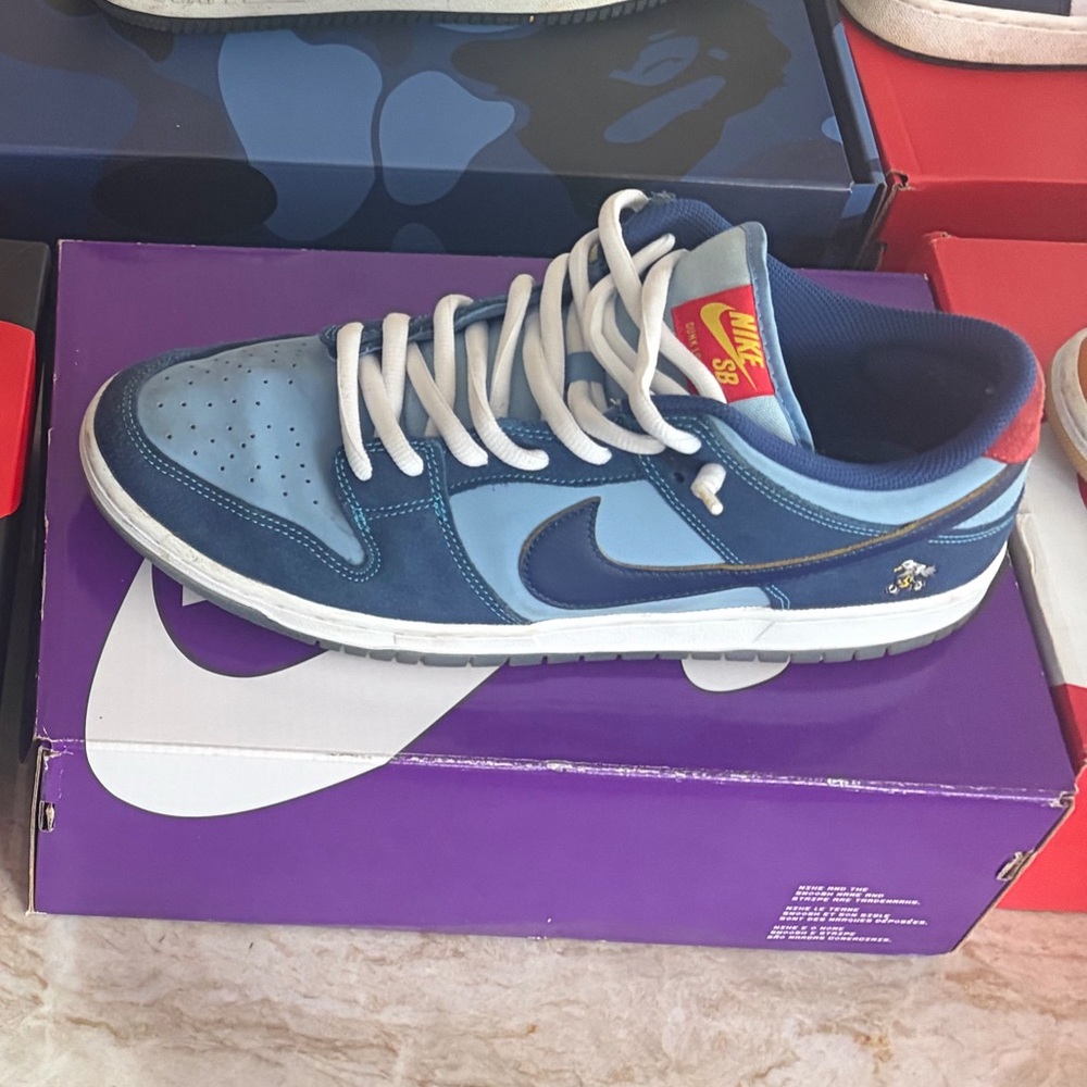 Nike SB Blue and Red Sneakers